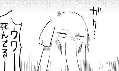 zou.jpg